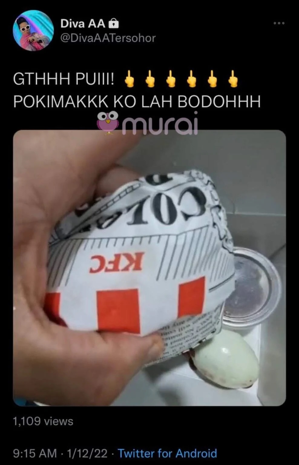 Diva AA Mengamuk Nasi Lemak KFC Tidak Disertakan Ikan Bilis